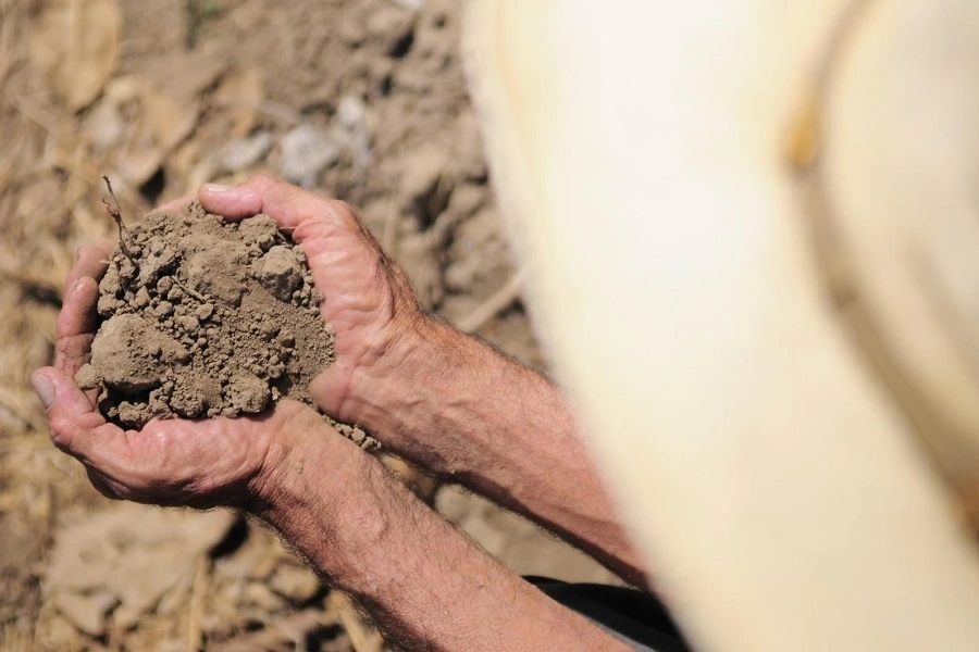 farmer's hands holding soil above dry soil
